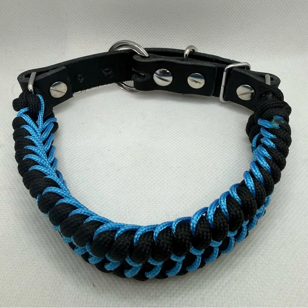 Handmade Leather and Paracord Dog Collar